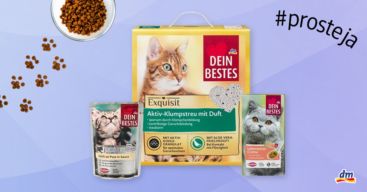 Mňau momenty, které stojí za to